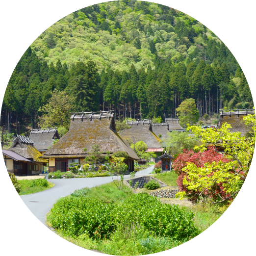 西湖いやしの里根場